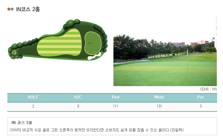 라비돌 이미지
