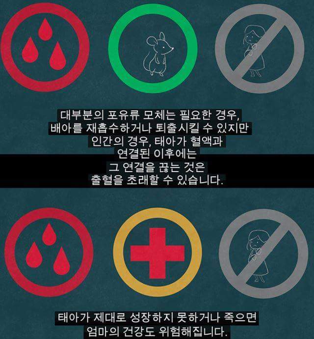 생리를 자궁이 임신을 기다리다가 임신을 하지 못해 실패한 것이라고 배우는 건 철저히 가부장적, 남성중심적 사고이다 | 인스티즈