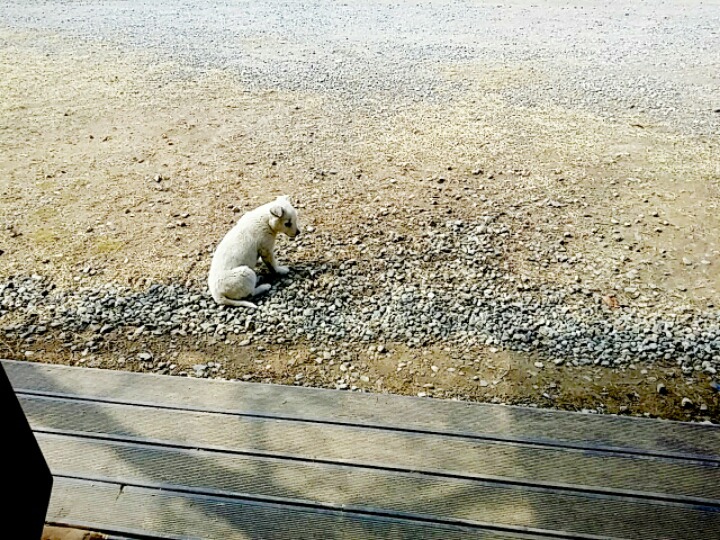 향토방 이미지