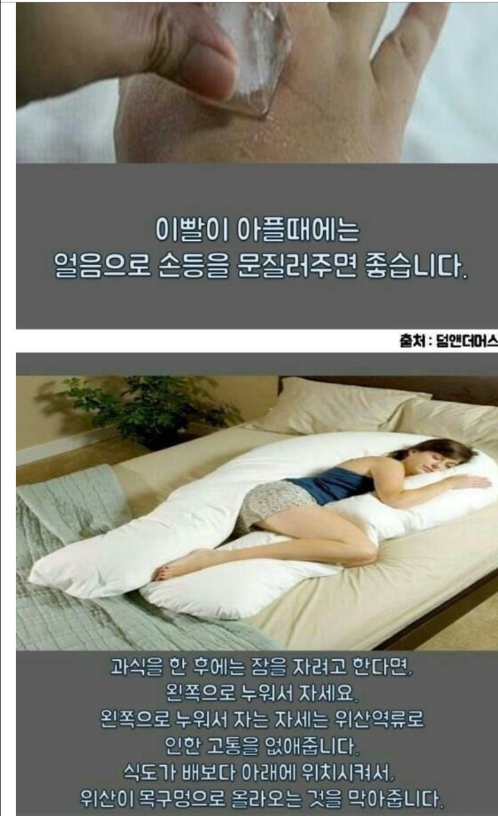 일반인도 쉽게 이해할 수 있는 기본적으로 알아야할 의학 상식&amp;꿀팁 | 인스티즈