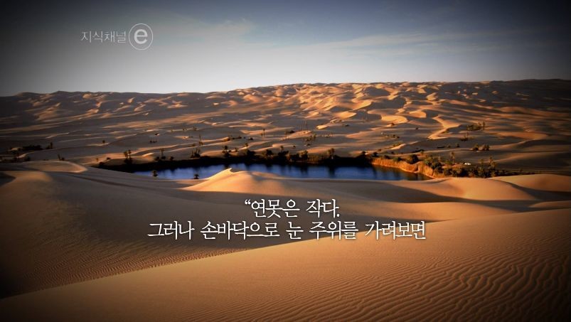인간의 한계를 시험하는 신의 수 | 인스티즈