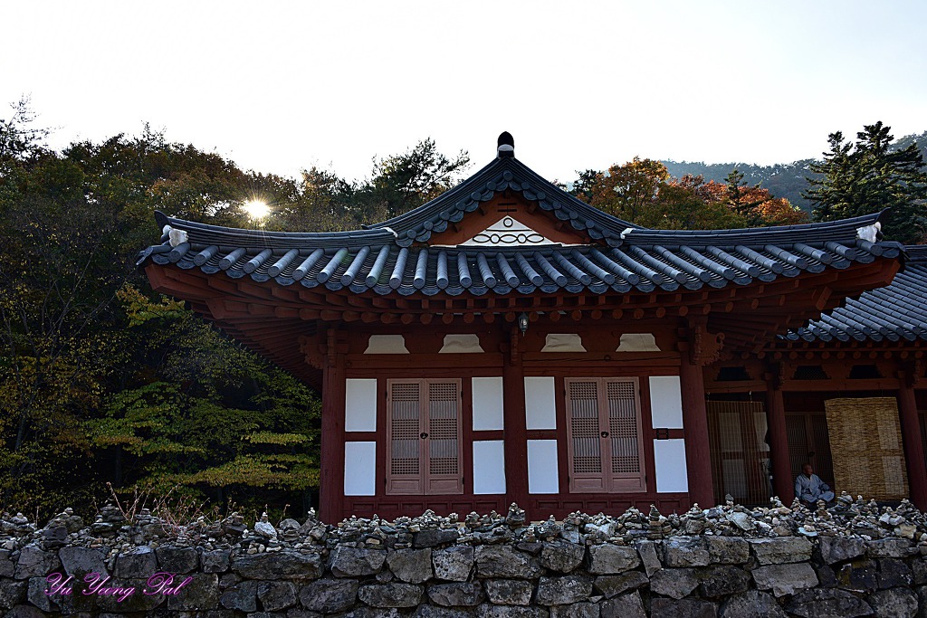 솔섬 이미지