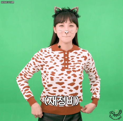 냥이 코커 김민아 | 인스티즈