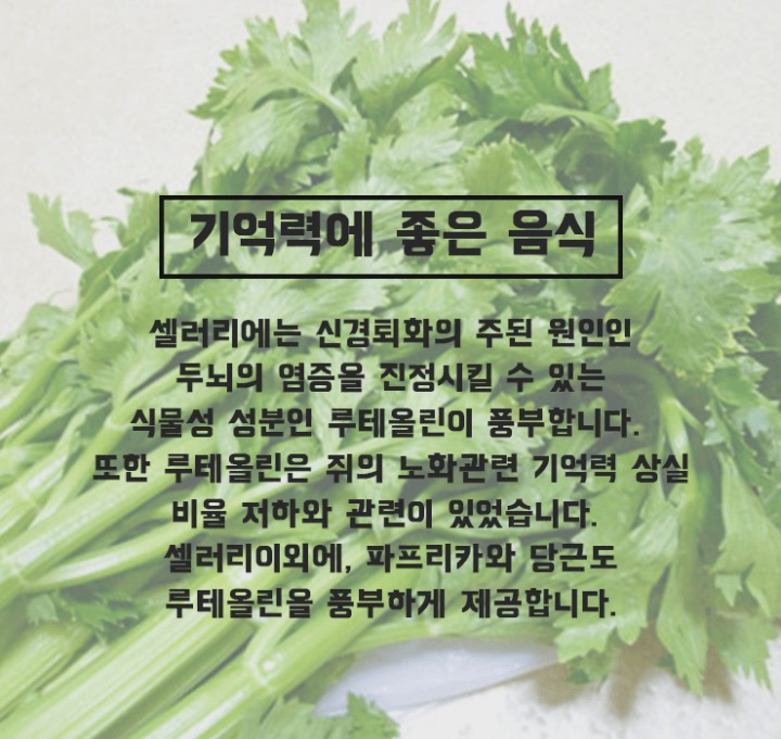 기억력에 좋은 음식들 | 인스티즈