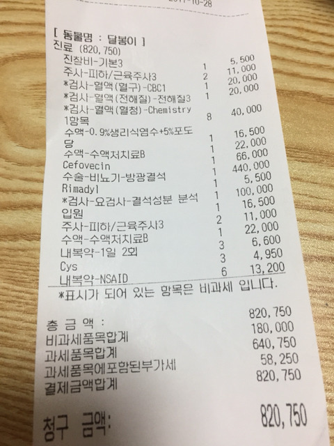 반려동물을 기른다는 것에 대한 현실(feat.매쫑)+댓글에도 여시들이 예시많이 올려주는중...! | 인스티즈