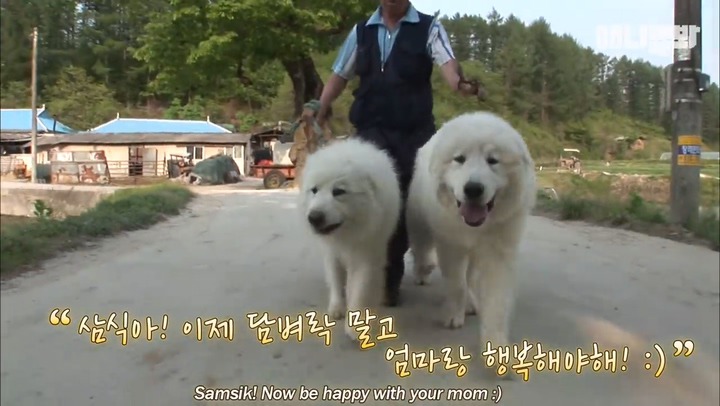 모른척 지나가면 짖는 삼식이.jpg | 인스티즈