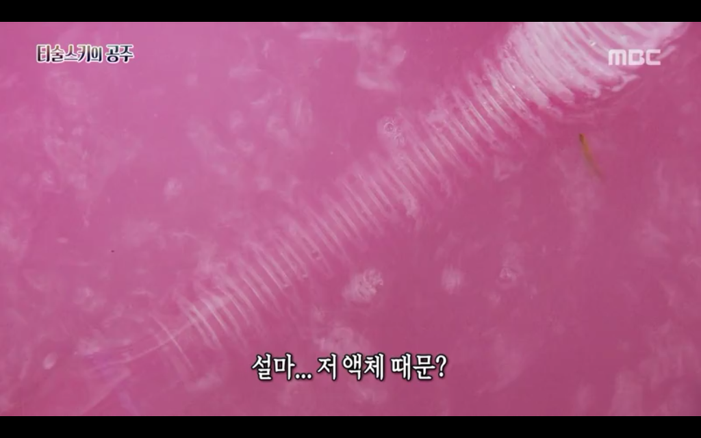 석관 안에서 발견된 8억 년 전의 미라 미스터리, 신비한TV 서프라이즈 '티술스키의 공주' | 인스티즈