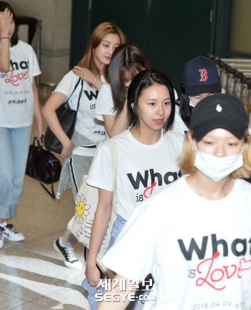 뽀짝뽀짝 귀여운 아가맹수 채영이 | 인스티즈