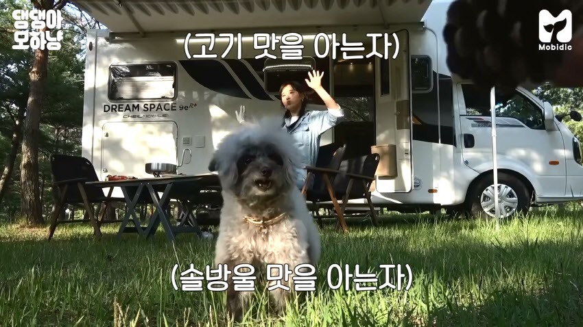 99B070465F00E6EE0C0C36