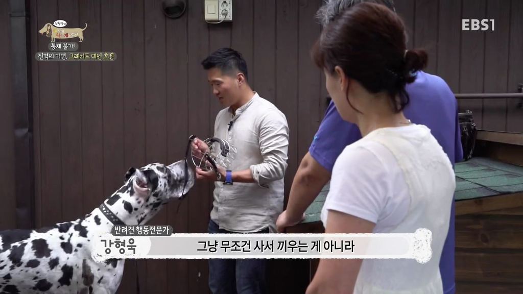 반려견의 입마개 거부감 없애는 팁 .gif | 인스티즈