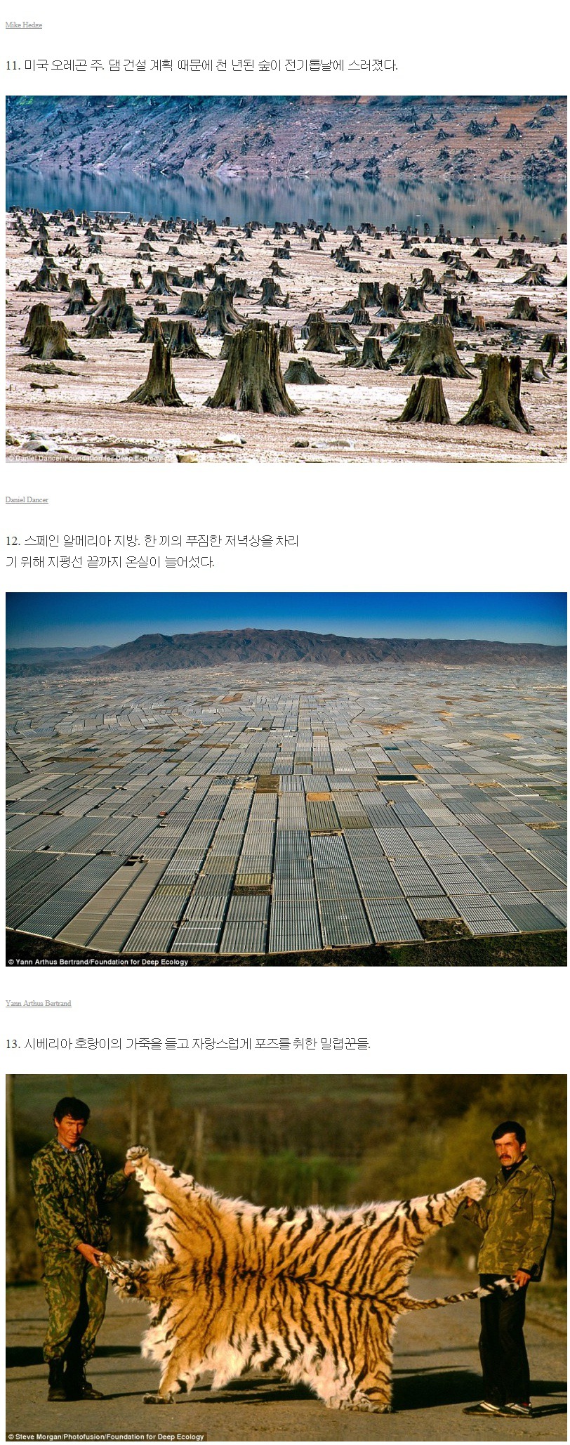 세계가 처한 위기 | 인스티즈
