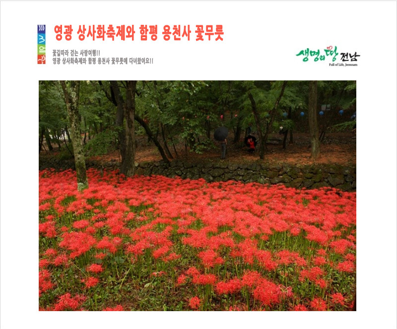 (유)한마음고속관광 이미지