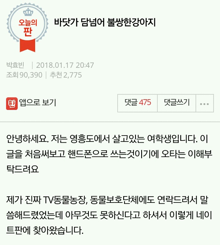 네이트판 추천수 2000넘고 난리난 강아지 학대 고발글 | 인스티즈