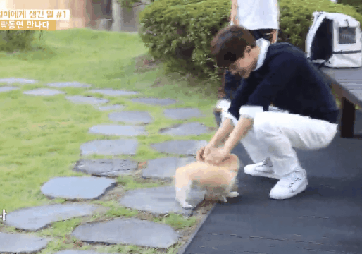 집 지키기는 힘들 거 같은 짱절미 | 인스티즈
