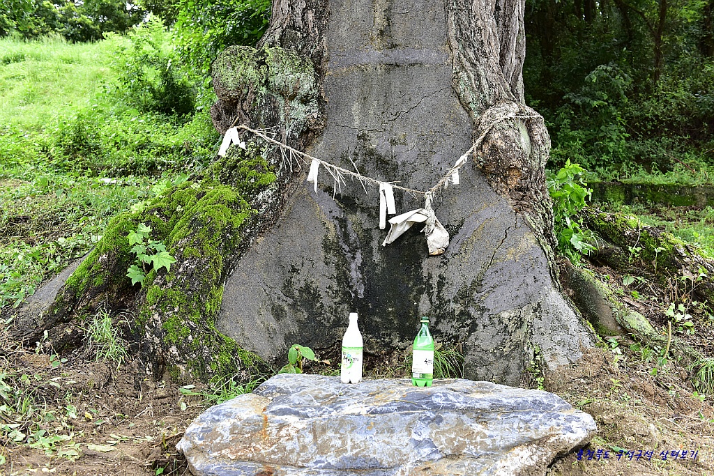 병나발 이미지