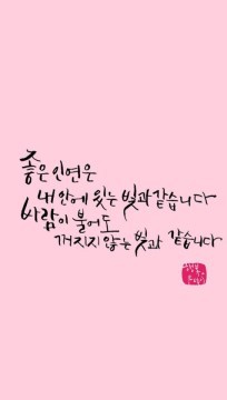 다;온 이미지
