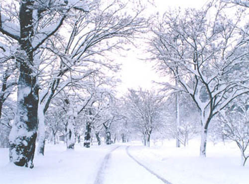 벌레 많고 개더운 여름 vs 엄청 춥고 움직이기 싫은 겨울 | 인스티즈