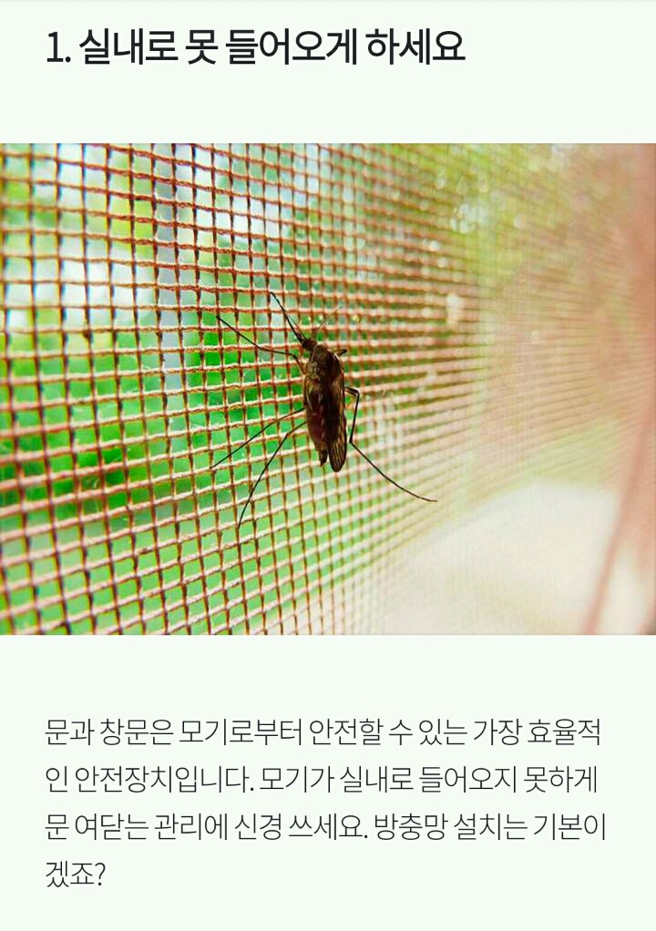 모기로부터 살아남는 5가지 방법 | 인스티즈
