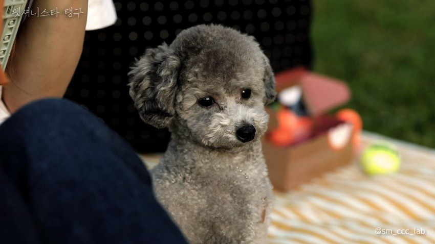 99CAF3415DF26EA1068F92