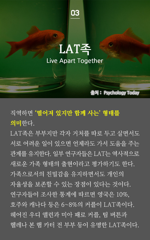 시사상식 - 8월 3주차 | 인스티즈