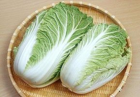 채태 이미지
