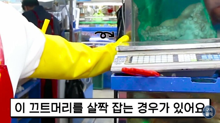 수산물 시장가서 유심히 봐야할 저울 사기치는 방법 | 인스티즈