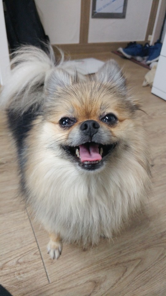 우리콩 이미지