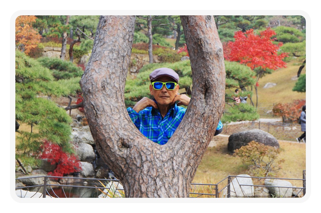 하담숲 이미지