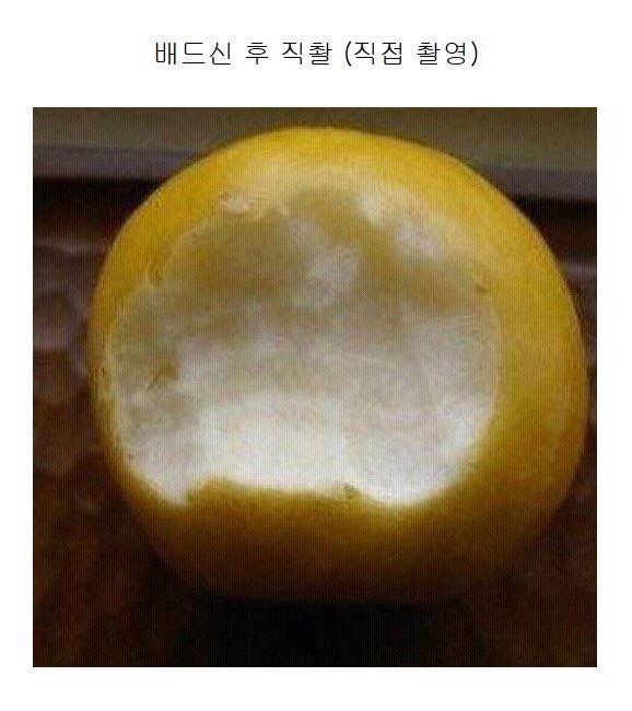 배드신 후 직촬.jpg | 인스티즈
