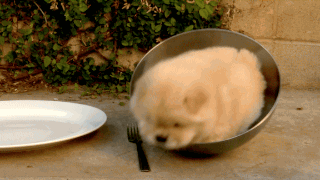 내가 여기서 나가면 너흰 끝장이야.gif | 인스티즈