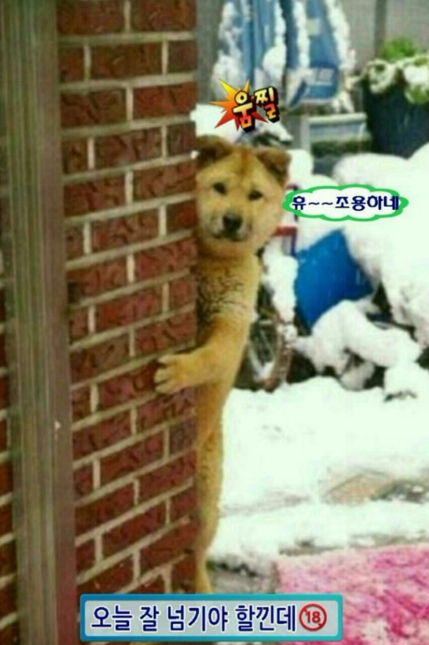 복 이미지