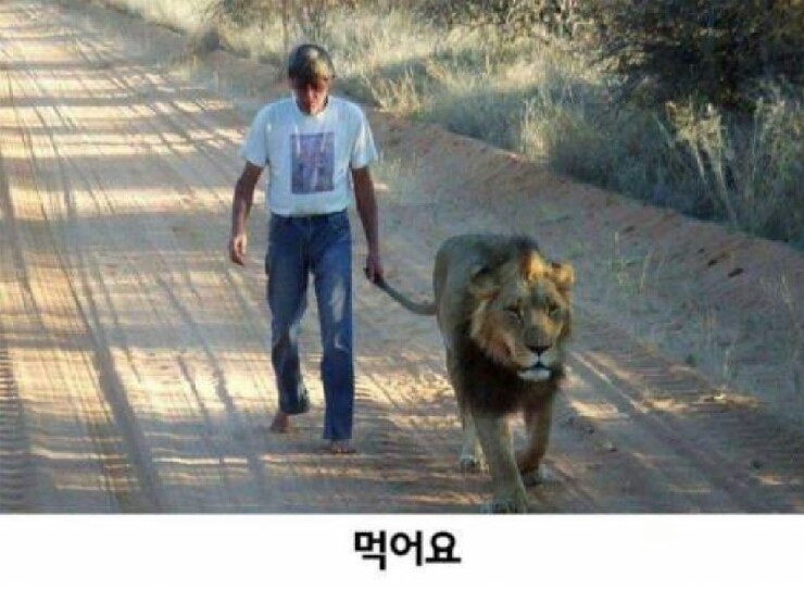 우리 개는 안 물어요 | 인스티즈