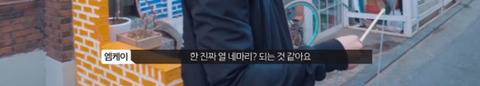 망원동 고양이 밥을 책임지고 있는 아이돌 | 인스티즈