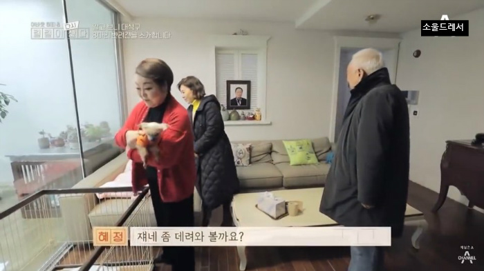  빅마마 이혜정의 스트릿출신 반려견들 (귀여움주의) | 인스티즈