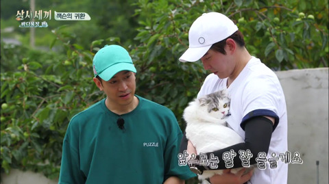 [삼시세끼] 처음 본 잭슨 때문에 놀라서 귱집사 팔 꼬옥 붙드는 고양이 쿵이.gif | 인스티즈