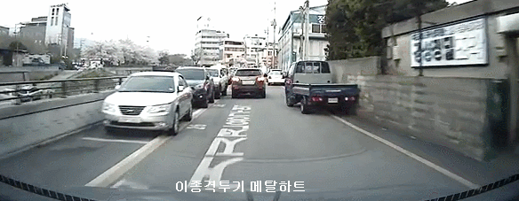 목줄안한 개에 쫓기다 교통사고 | 인스티즈