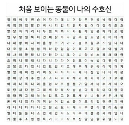 처음 보이는 동물이 나의 수호신 | 인스티즈