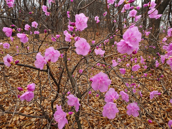 99E382345C9F0D7D149C81