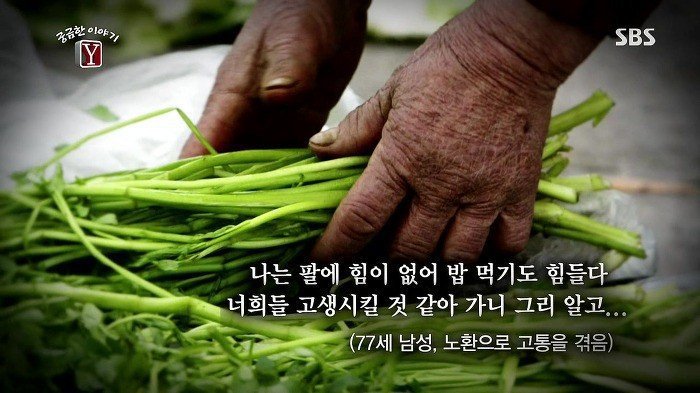 스스로 목숨을 끊은 노인들의 유서 | 인스티즈