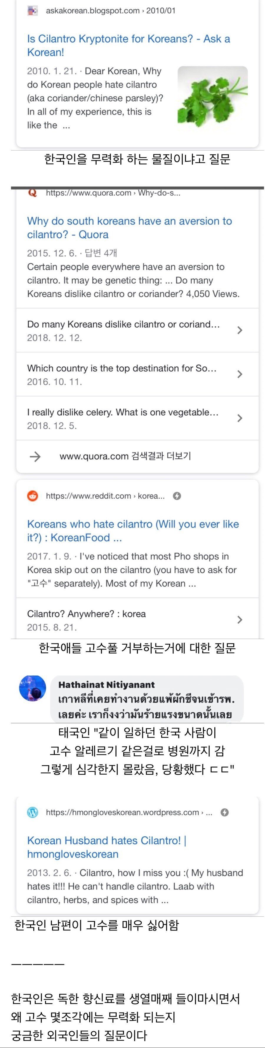 코리안 크립토나이트 | 인스티즈