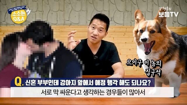 애정행각하려는데 개가 쳐다봐요 | 인스티즈