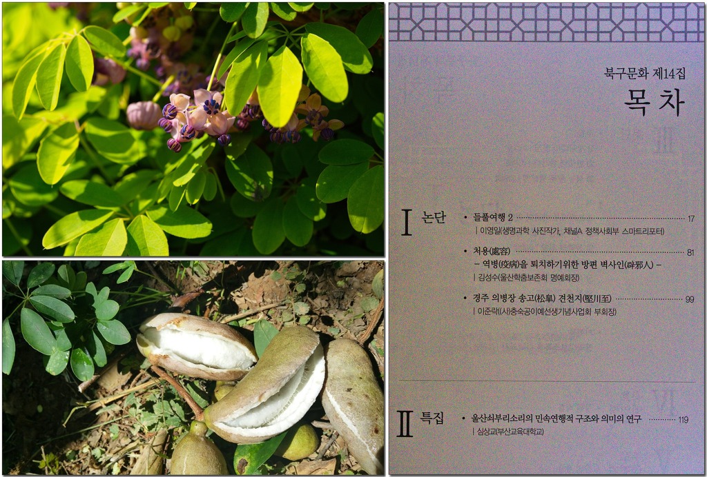 (사)충숙공 이예선생 기념사업회 이미지