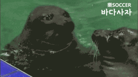 성화 점화하는 퀸연아 | 인스티즈