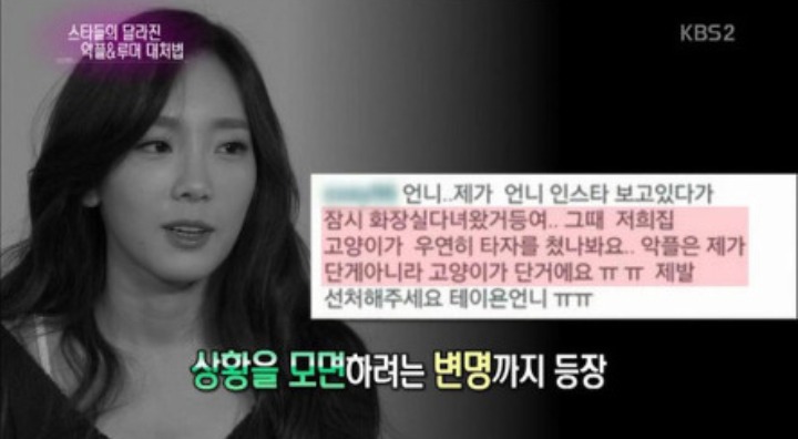 내가 악플단게아니라 고양이가 담 | 인스티즈