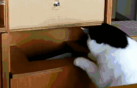 선 채로 가...가...가버렷.gif | 인스티즈