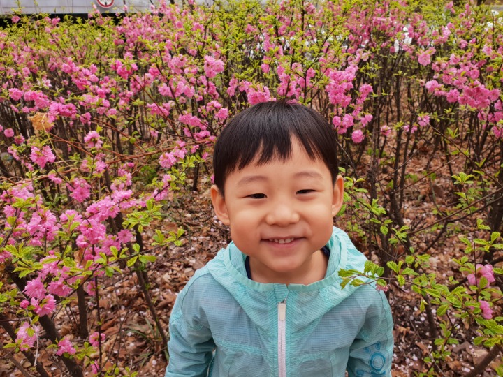봄꽃교재.교구 이미지