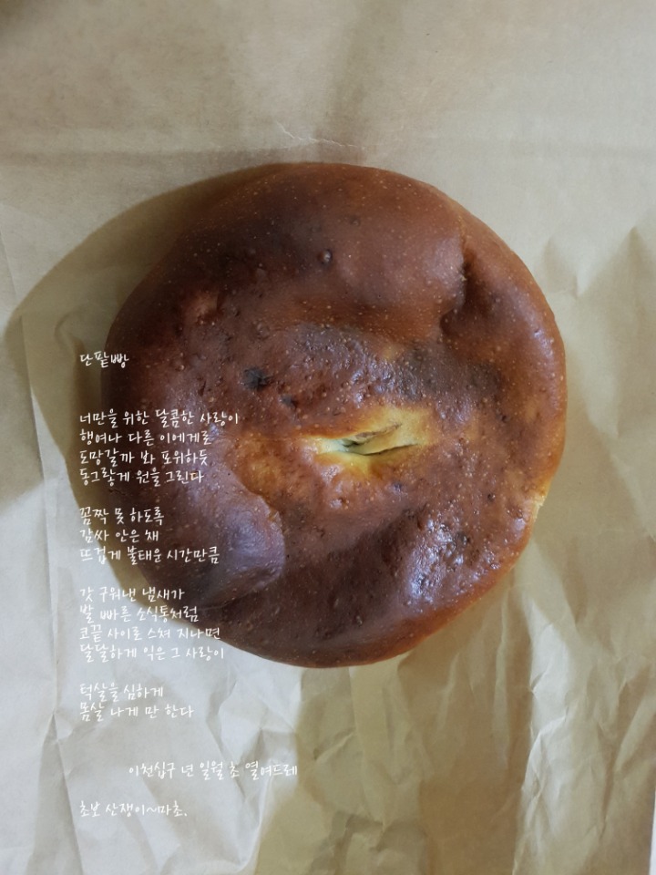 단팥빵 이미지