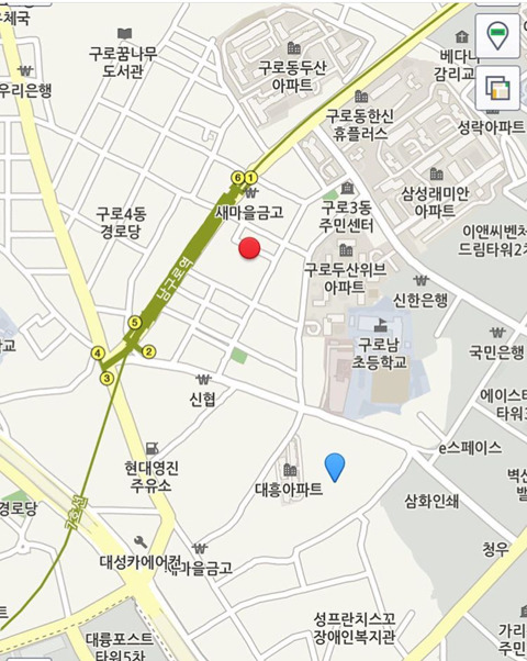 구로구 치와와 다람이랑 다롱이 찾습니다! | 인스티즈
