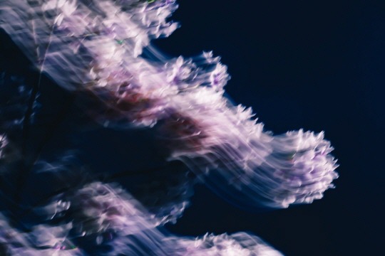  가장 기본적인 것 | 인스티즈