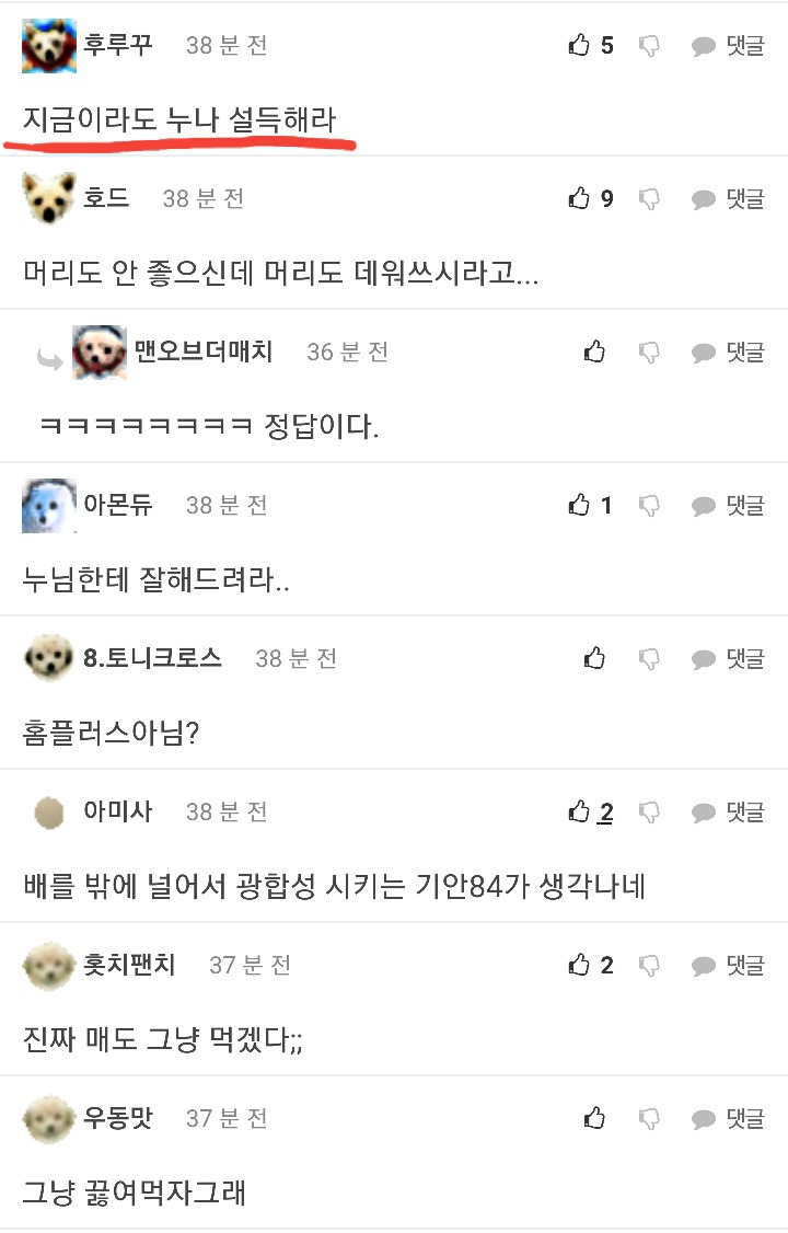 매형이 회를 사왔는데 | 인스티즈